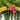JPhresh Designs Pink Antelope Charm