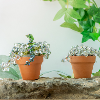 Mini Beaded Plant Kit