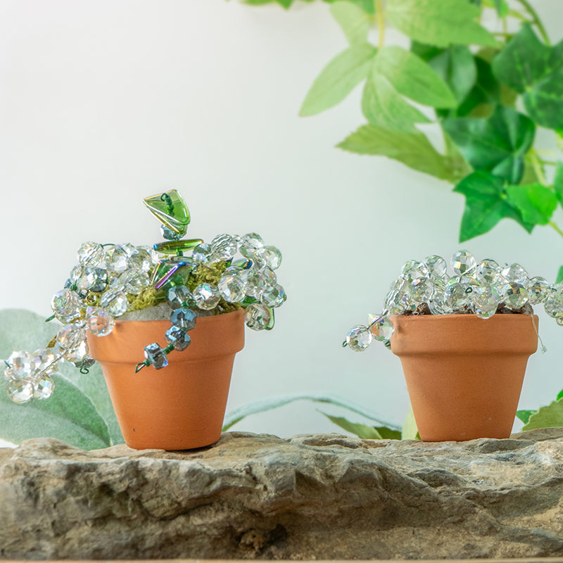 Mini Beaded Plant Kit