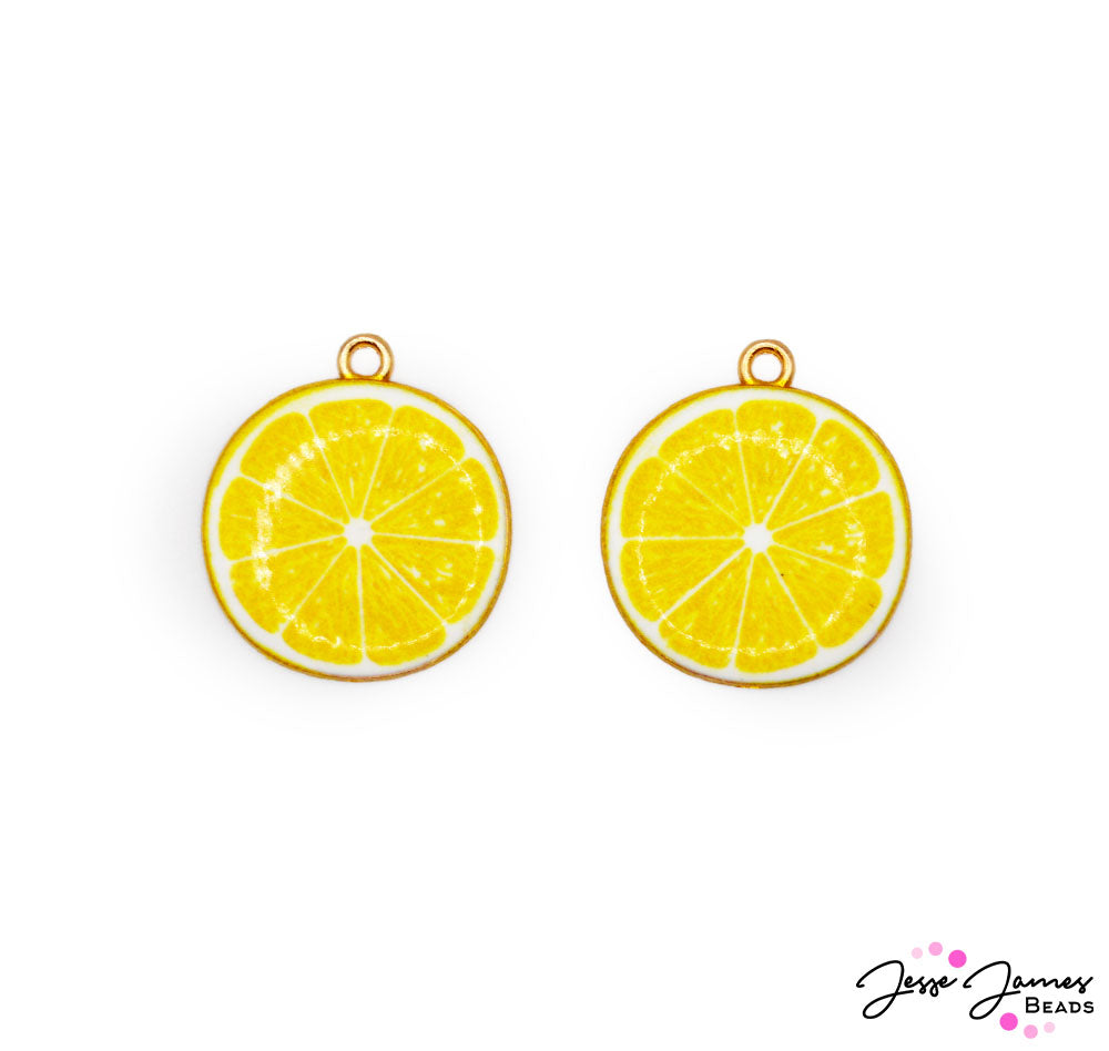 Lemon Slices Charms