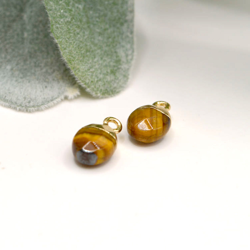 Mini Charm Duo in Tiger Eye