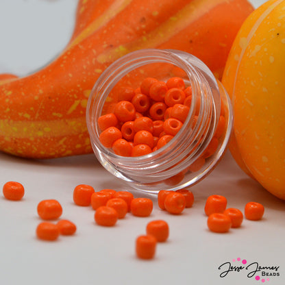 JJB 6/0 Seed Beads In Orange Juice