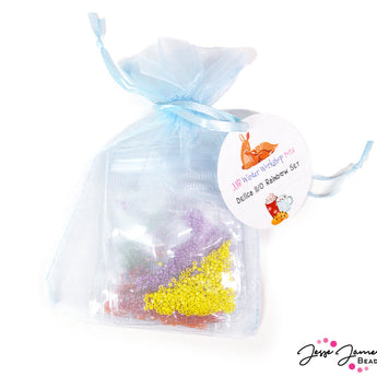 Winter Workshop 2023 Rainbow Delica Set