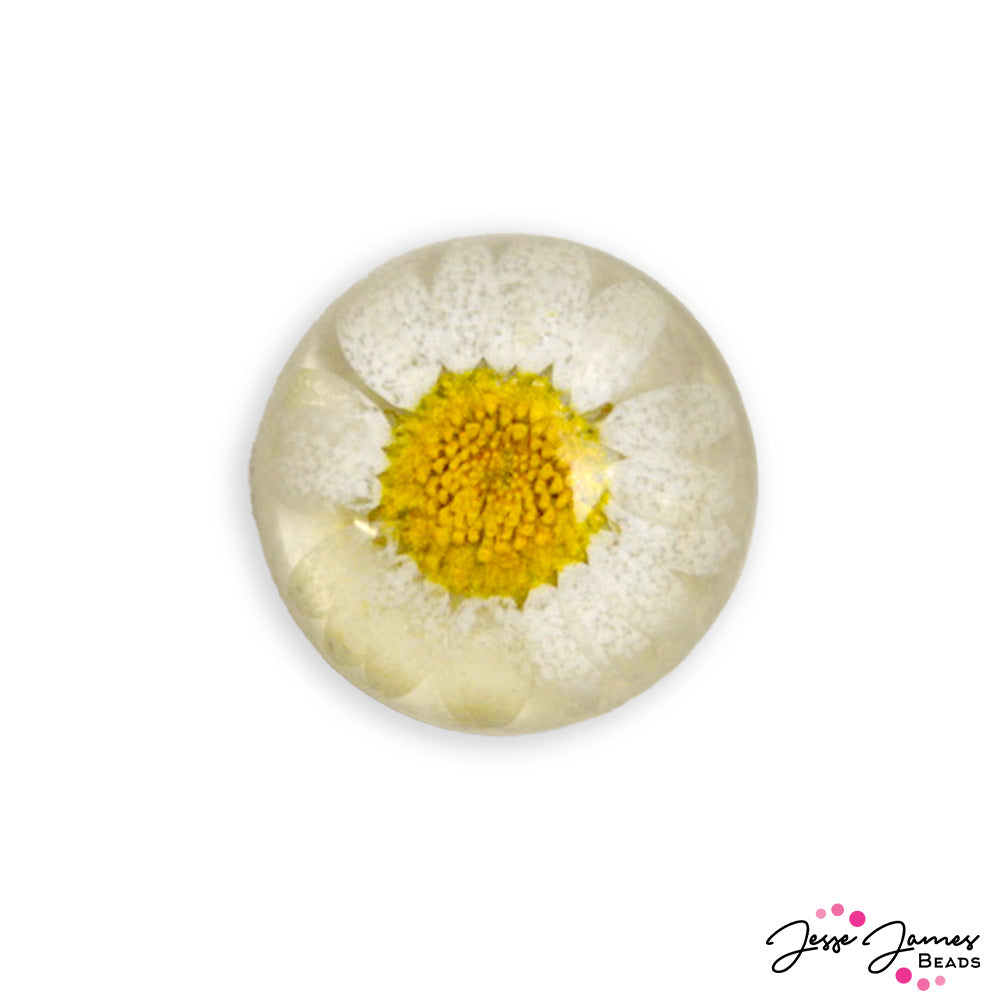 Beads & Blooms Daisy Cabochon