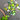 Bright Green beads from the Color Trends Bead mix in Rainforest by Jesse James Beads