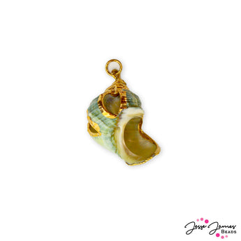 Treasures Untold Gilded Seashell Pendant
